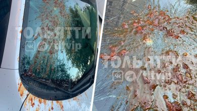 Фото - В Тольятти в лобовое стекло автомобиля бросили банку с вареньем
