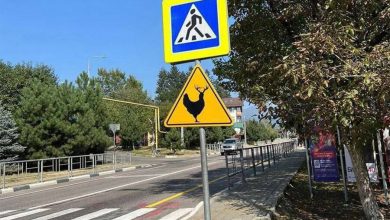 Фото - Дорожные знаки с изображением рогатой курицы появились в Сочи