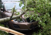 Фото - Раскрыт механизм получения компенсации за разбитое ураганом авто