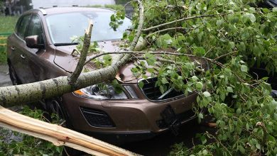 Фото - Раскрыт механизм получения компенсации за разбитое ураганом авто